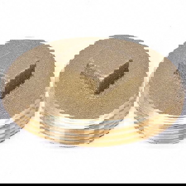 Drain, Waste & Vent Plug: 2-1/2