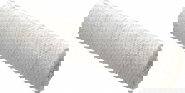 Plumbing Cartridge Filter: 2-1/2