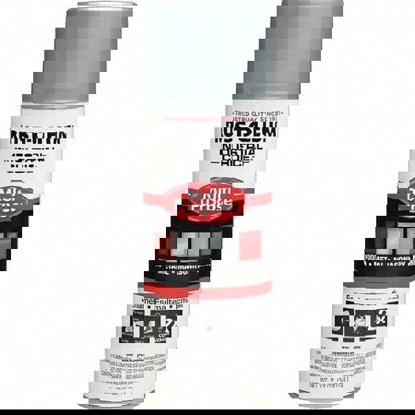 Enamel Spray Paint: Dull Aluminum, 12 oz