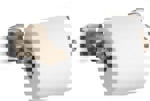 Wall Mount Toilet Tissue Holder in Vibrant Brushed Bronze