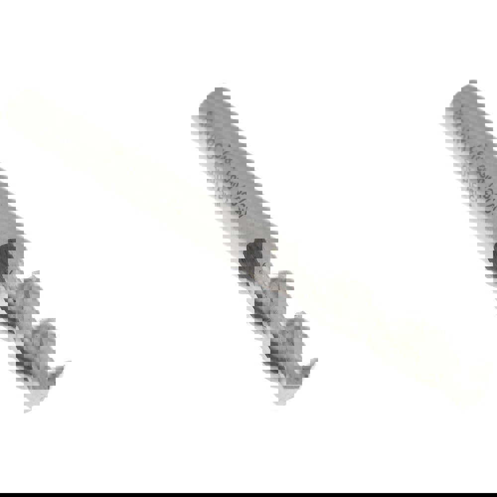 Screw Machine Length Drill Bit: 3/16