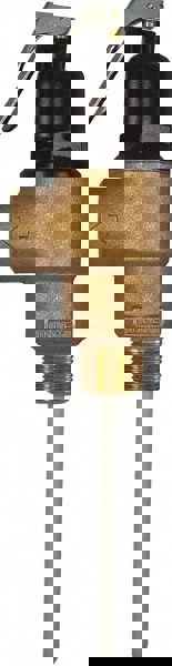 ASME Safety Relief Valve: 3/4