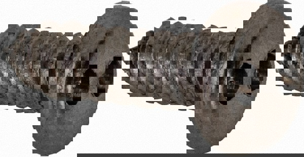 Sheet Metal Screw: #6, Pan Head, Spanner