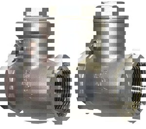 1/4 SS 200# THRD CHK VLV