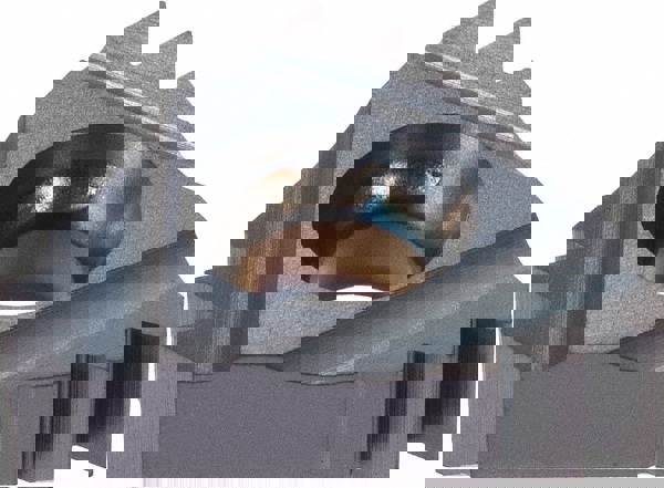 Laydown Threading Insert: 16ER14NPT-2M BMA, Solid Carbide