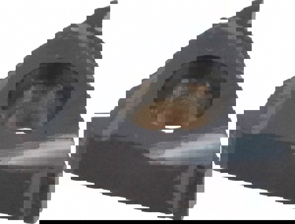 Laydown Threading Insert: 16 ER A60 BMA, Solid Carbide