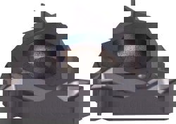 Laydown Threading Insert: LT16NR115NPTCB KC5025, Solid Carbide