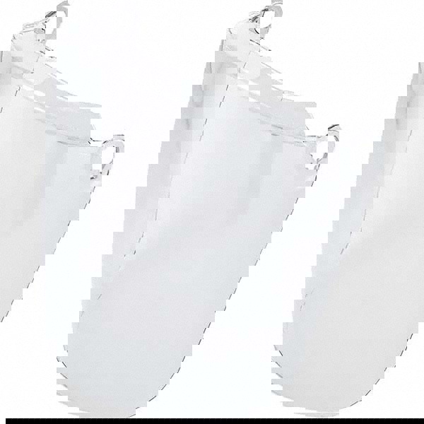 Face Shield Windows & Screens: Replacement Window, Clear, 4