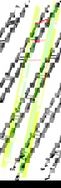 16' High, Type IAA Rating, Fiberglass Extension Ladder