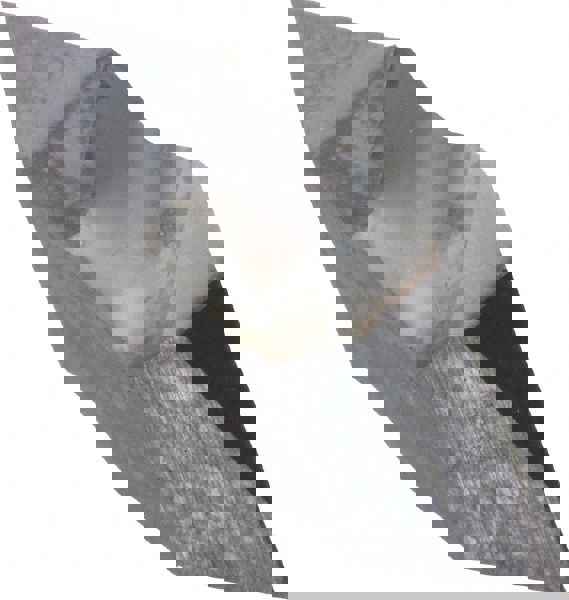 Threading Insert: NTP2R KC5010, Carbide