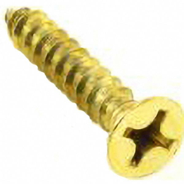#12 Brass Hinge Screws