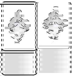 Turning Insert: SNMX453T0820 KY3500, Ceramic