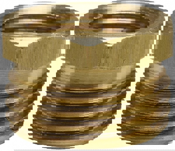 Garden Hose Fitting: Male Hose to Female Pipe, FPT, Brass