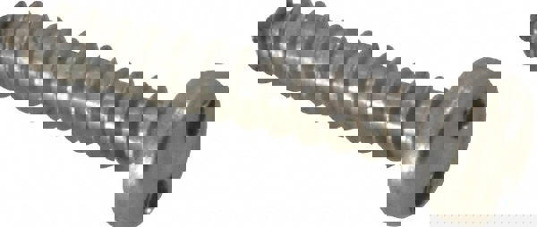 Sheet Metal Screw: #8, Pan Head, Spanner