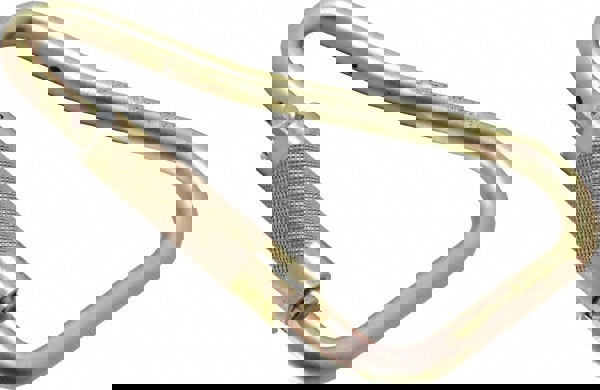 400 Lb. Capacity Locking Carabiner