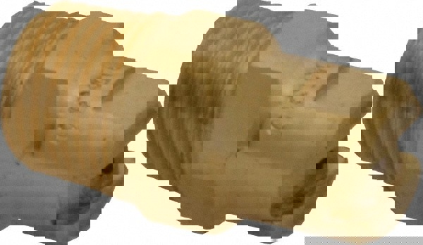 Brass Standard Fan Nozzle: 1/8