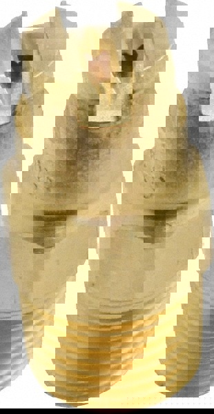 Brass Standard Fan Nozzle: 1/8