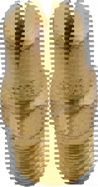 Brass Standard Fan Nozzle: 1/8