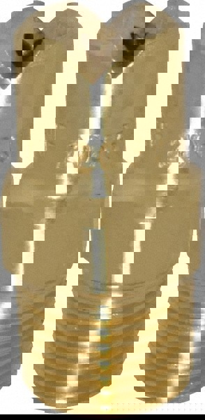 Brass Standard Fan Nozzle: 1/8