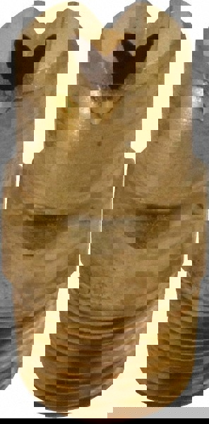 Brass Standard Fan Nozzle: 1/8