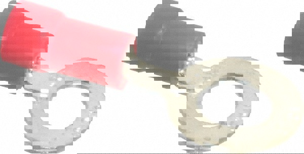 D Shaped Ring Terminal: Partially Insulated, 22 to 16 AWG, Crimp Connection