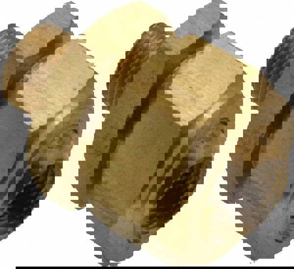 Brass Adjustable Swivel Joint Nozzle: 1/8