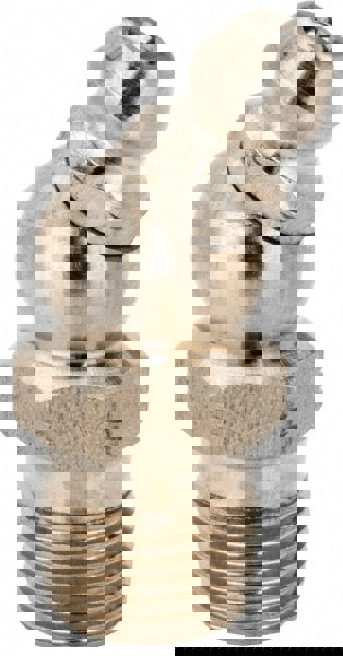 Standard Grease Fitting: 30 ° Head, 1/8