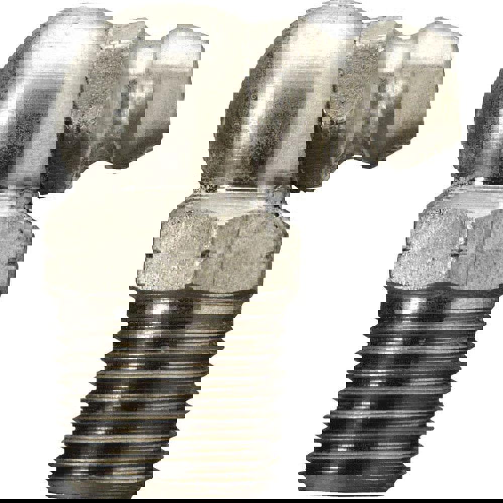 Standard Grease Fitting: 90 &deg; Head, 1/8