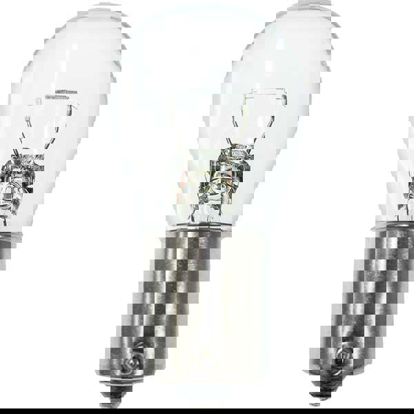 14 Volt, Incandescent Miniature & Specialty T3-1/4 Lamp