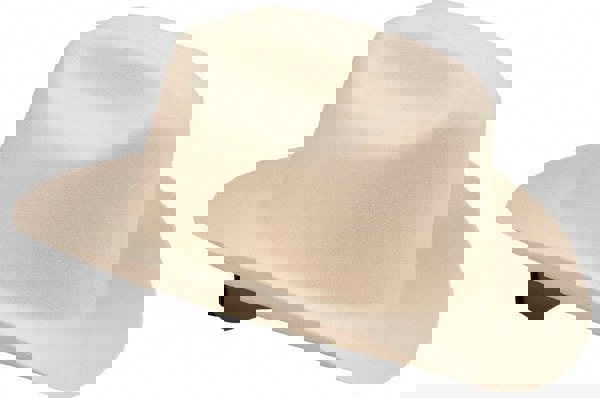 Hard Hat: Western, Type 1, Class G, 4-Point Suspension