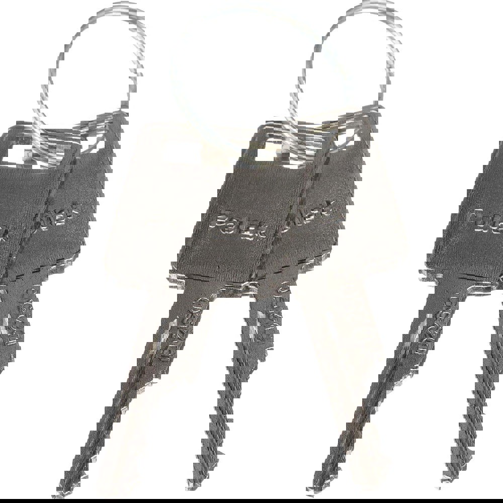 Key Blanks; Type: Pollak ; Blank Type: D250 Series ; Material: Steel ; Overall Length: 2