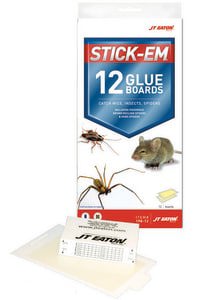 GLUE BRD F/ MICE & INSECTS 12/PK