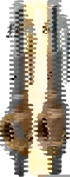 High Pressure Safety Relief Valve: 1