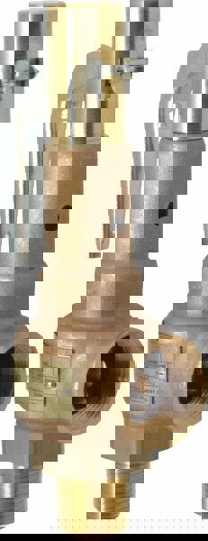 High Pressure Safety Relief Valve: 1