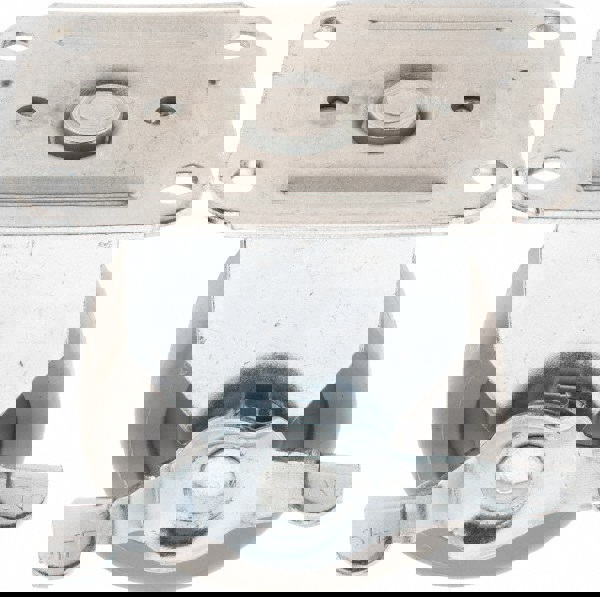 Rigid Top Plate Caster: Polyolefin, 3