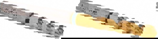 Screw Machine Length Drill Bit: 0.1719