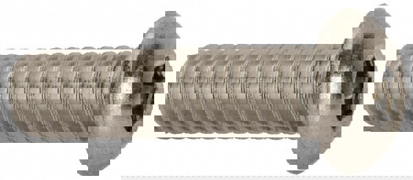 Button Socket Cap Screw: Stainless Steel