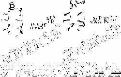 Software Accessories