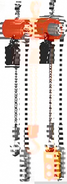 Electric Chain Hoist: 300 lb Working Load Limit