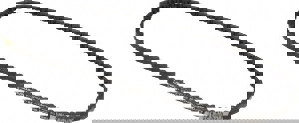 Wedge Cogged V-Belts