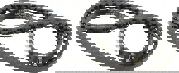 Cogged V-Belt: Section 5VX, 58.0000