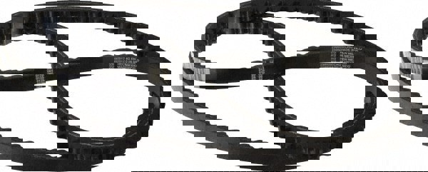 Wedge Cogged V-Belts