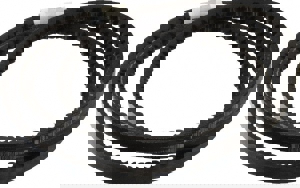 Wedge Cogged V-Belts