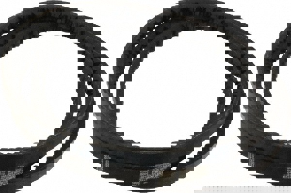 Wedge Cogged V-Belts