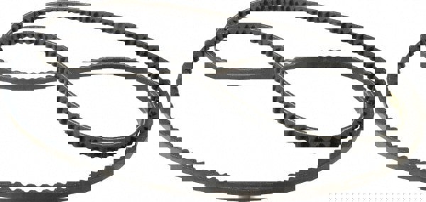 Wedge Cogged V-Belts