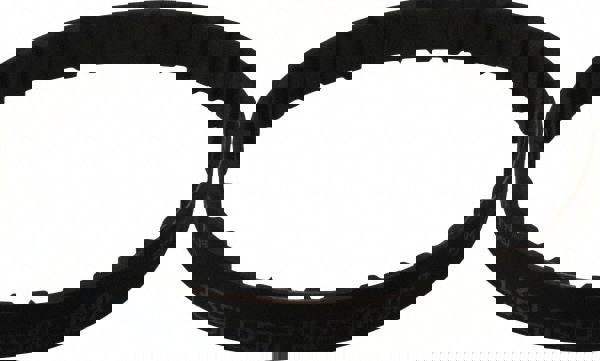 Timing Belt: Section L