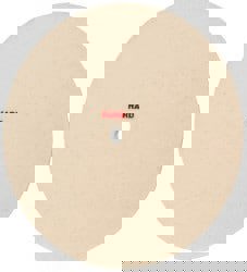 Unmounted Polishing Buffing Wheel: 8