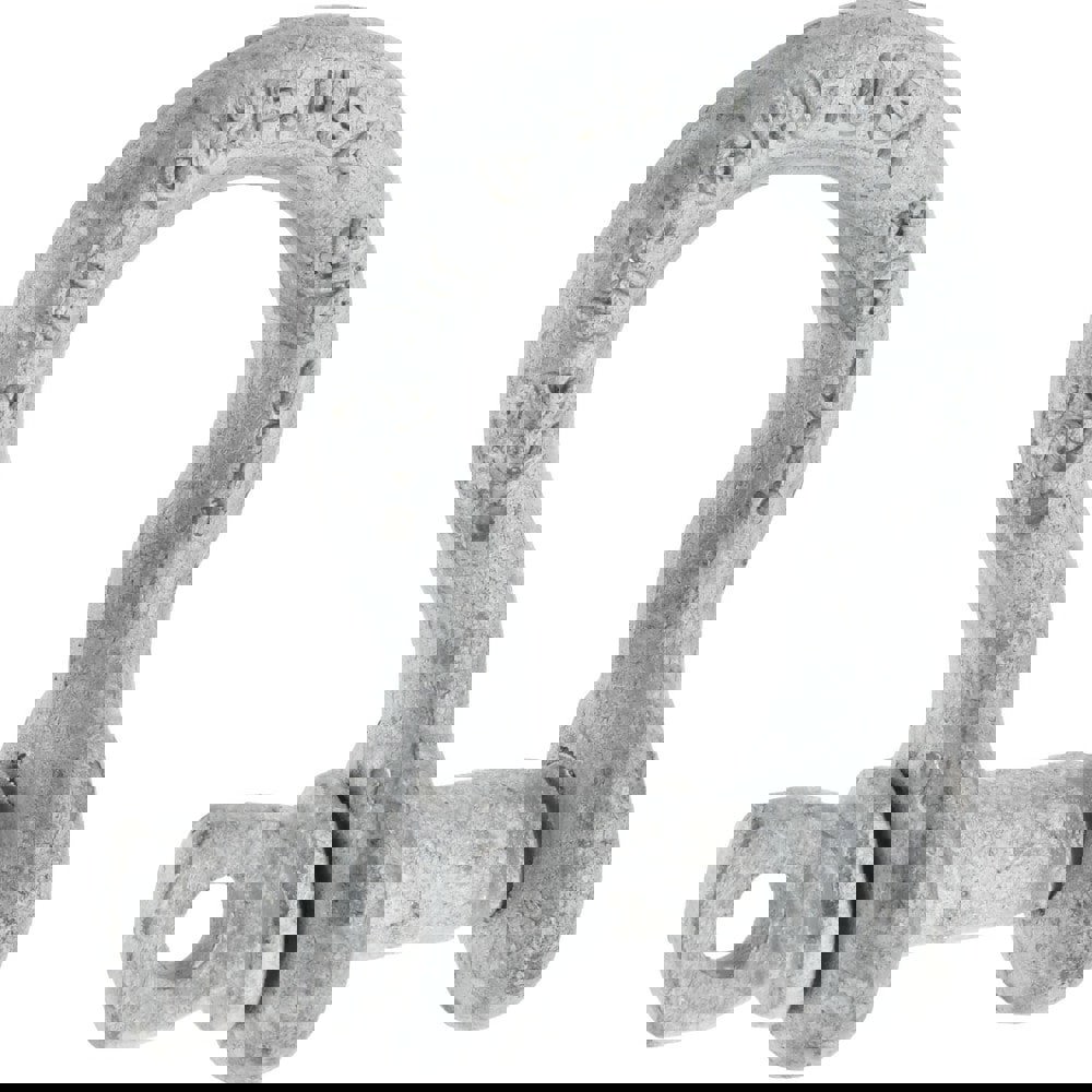 Anchor Shackle: Screw Pin