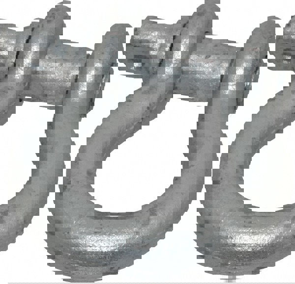 Anchor Shackle: Screw Pin