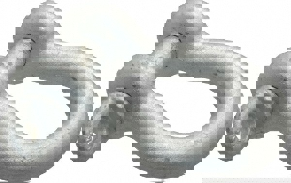 Anchor Shackle: Screw Pin